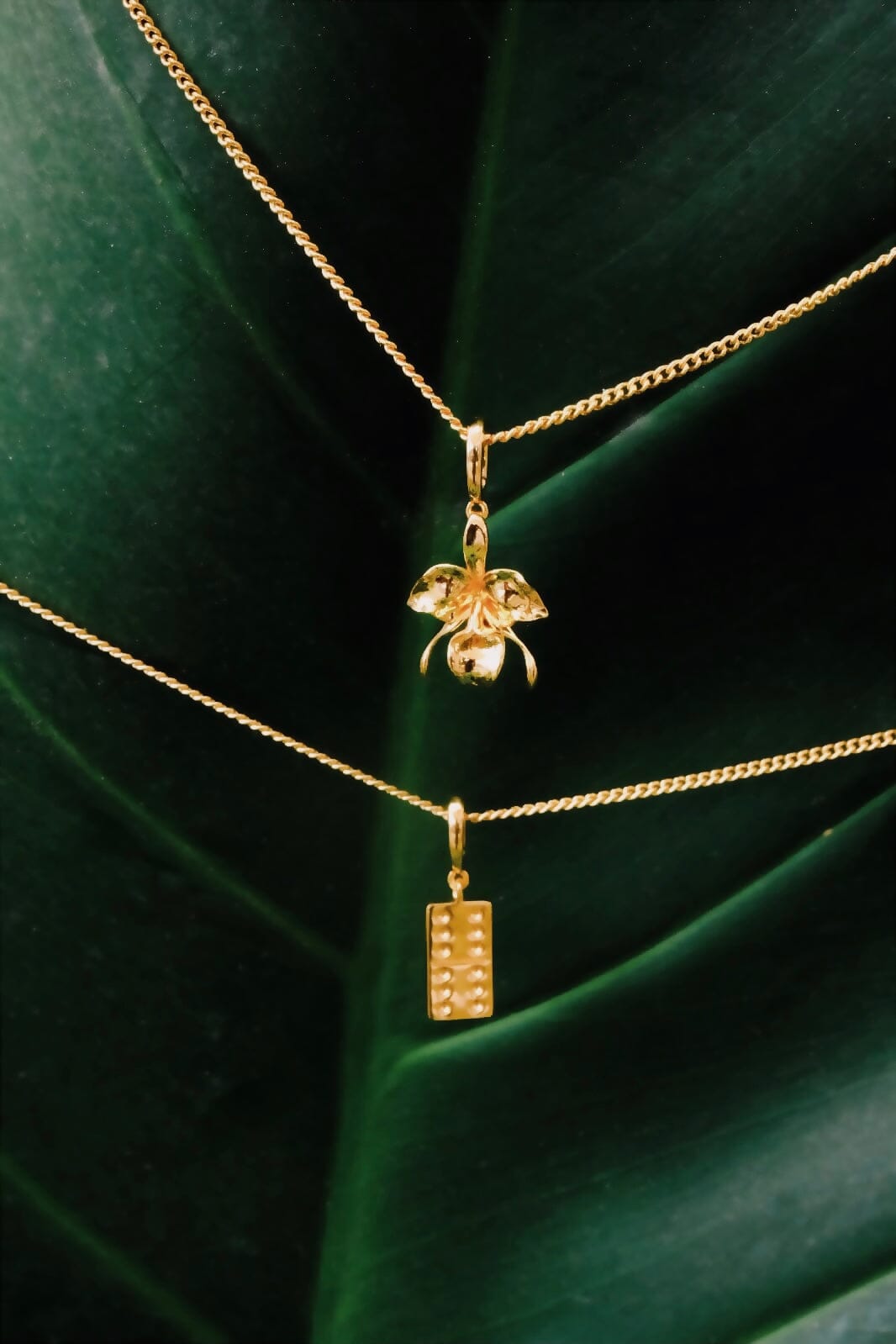 Charm + Necklace Bundle Eledé