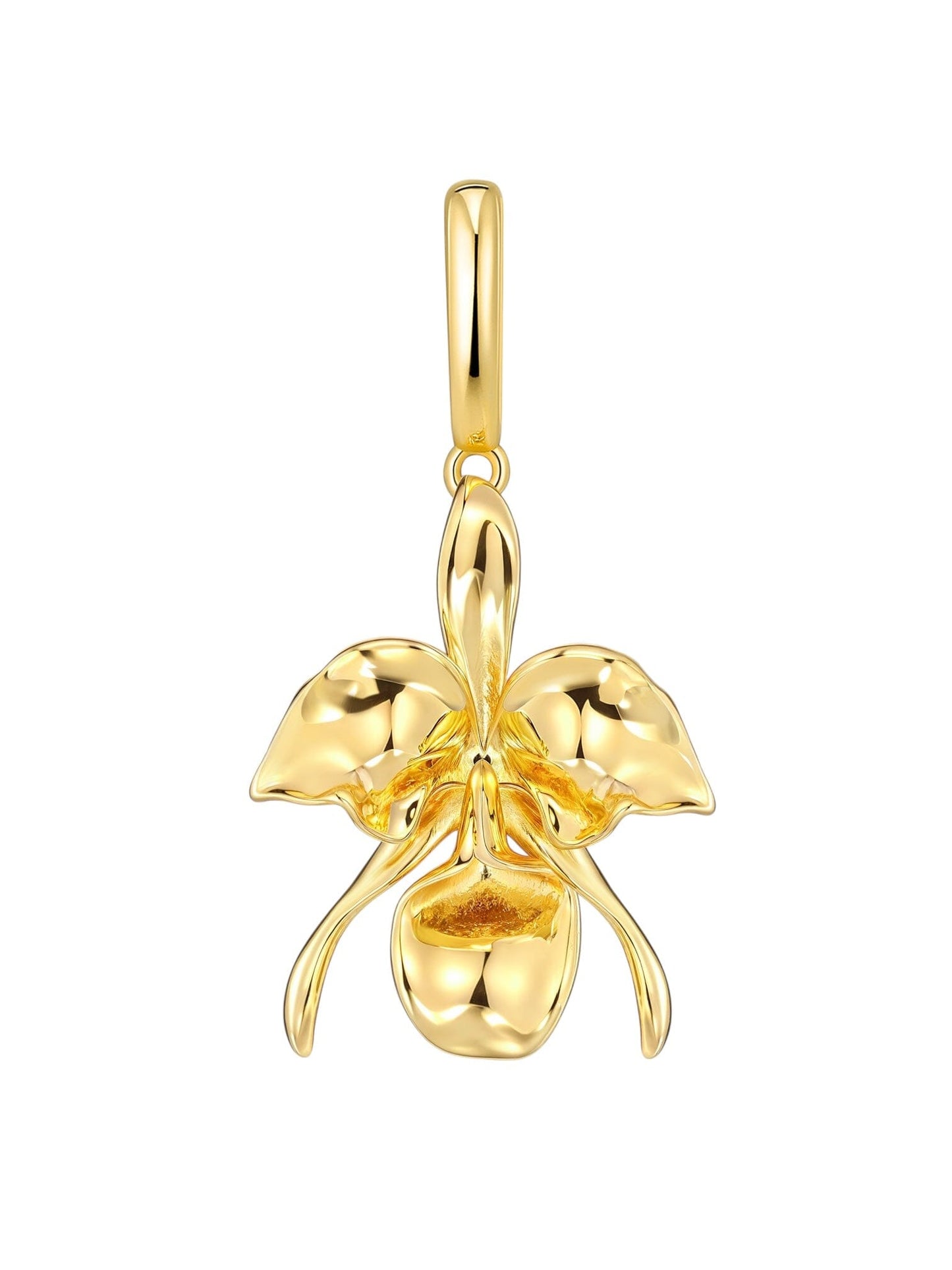 Orquídea Cataleya Eledé