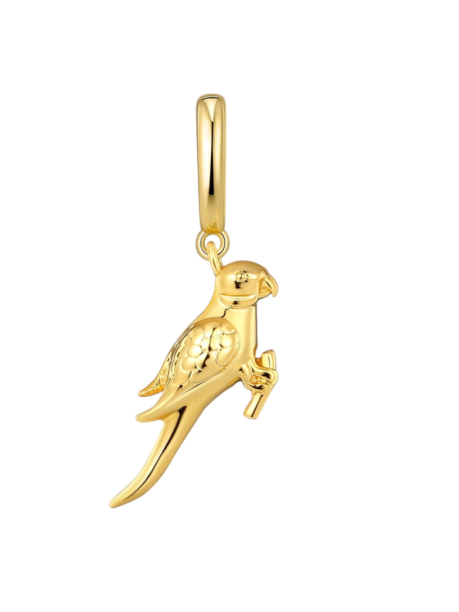 Cotorra Puertorriqueña Charm