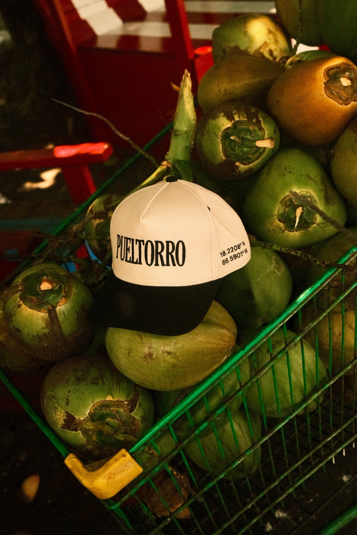 Pueltorro Trucker Cap Eledé Black 