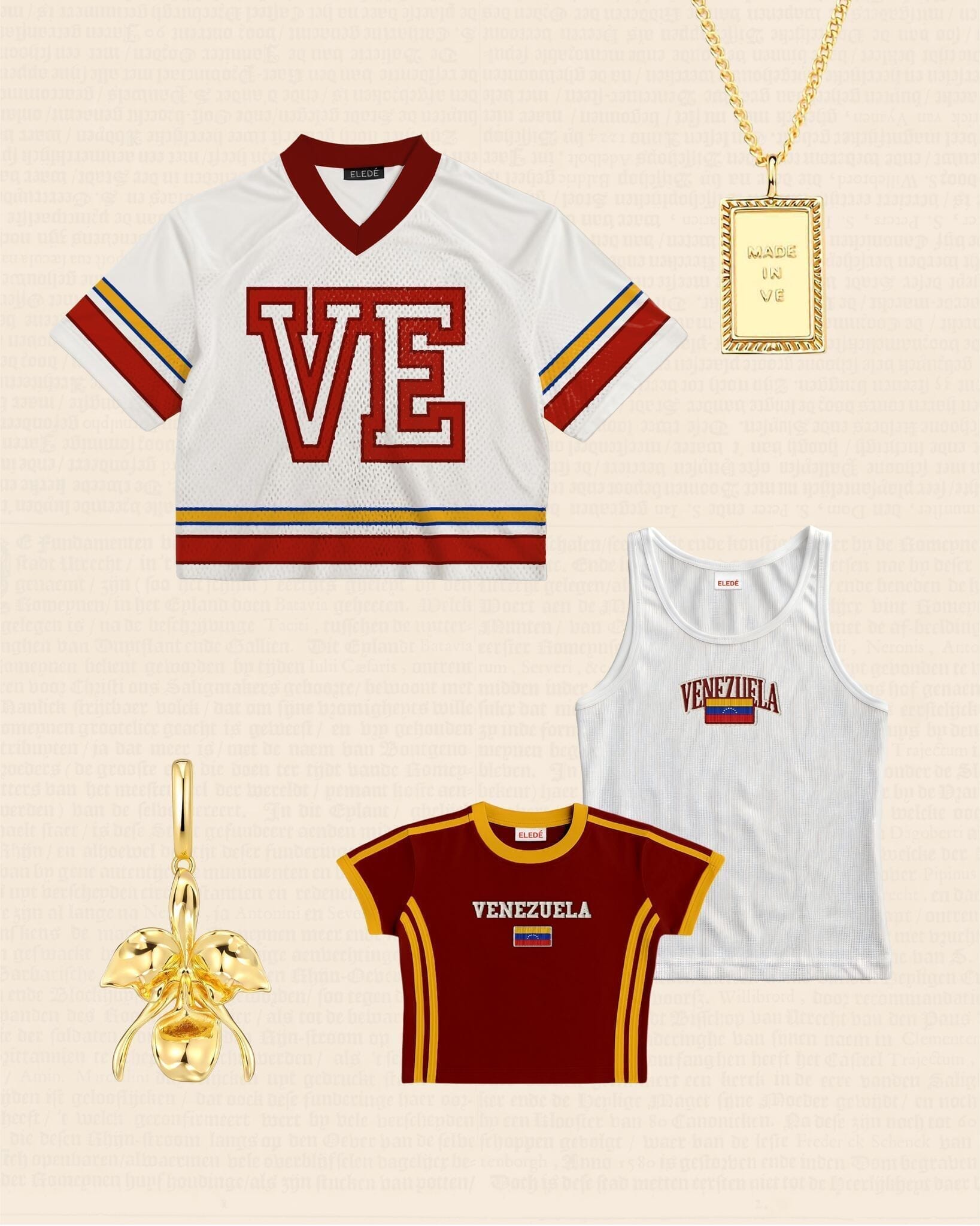 Orquídea Cataleya Charm